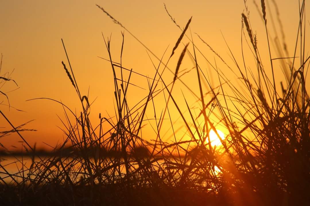 camping pas cher a la faute sur mer